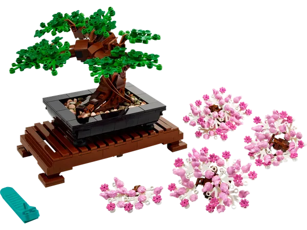Bonsai Tree — 2