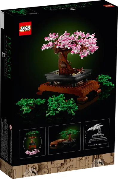 Bonsai Tree — 10