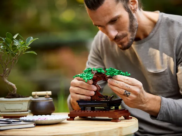 Bonsai Tree — 11