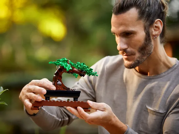 Bonsai Tree — 12