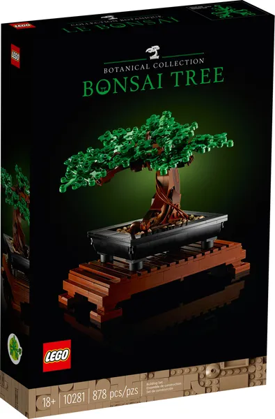 Bonsai Tree — 1