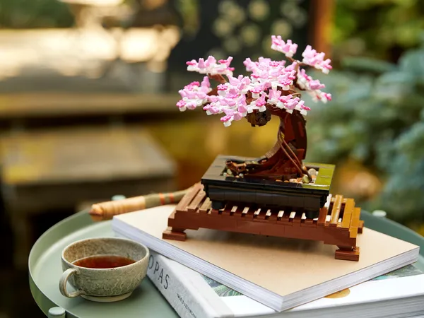 Bonsai Tree — 4
