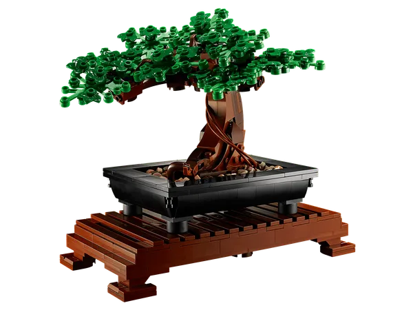 Bonsai Tree — 5