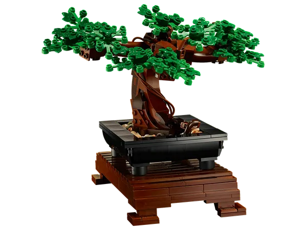 Bonsai Tree — 6