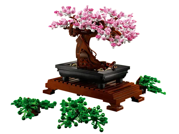 Bonsai Tree — 7