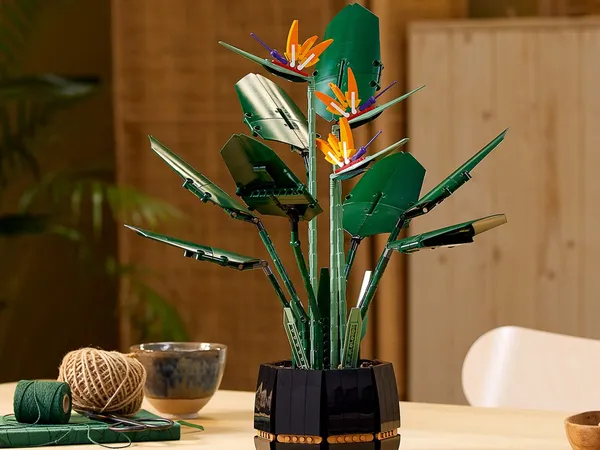 Bird of Paradise — 10