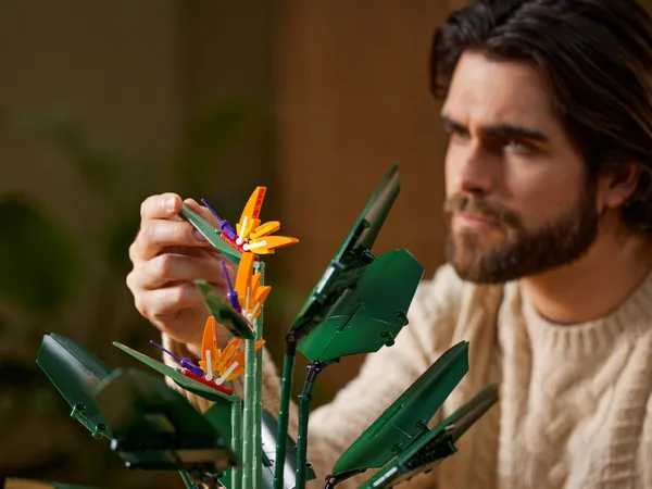 Bird of Paradise — 13