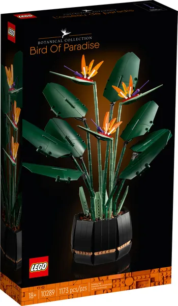 Bird of Paradise — 1