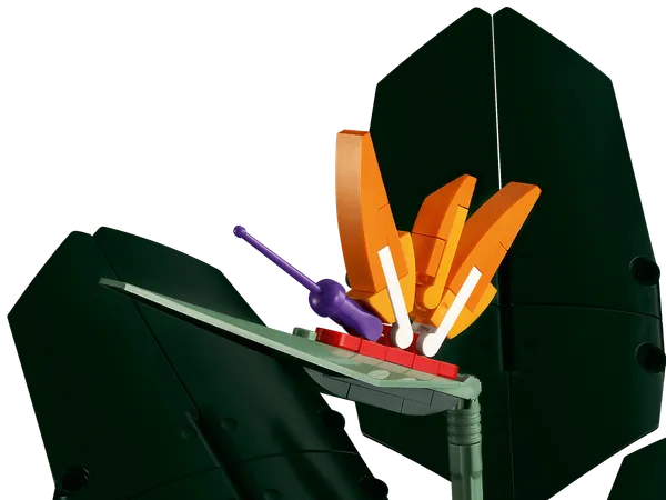 Bird of Paradise — 6