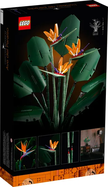 Bird of Paradise — 8