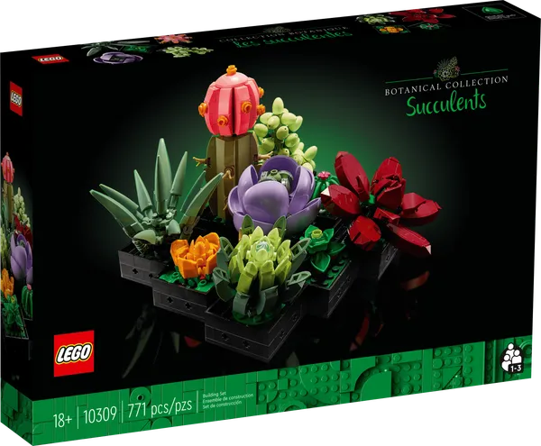 Succulents — 1
