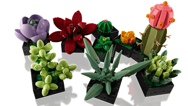 Succulents — 7