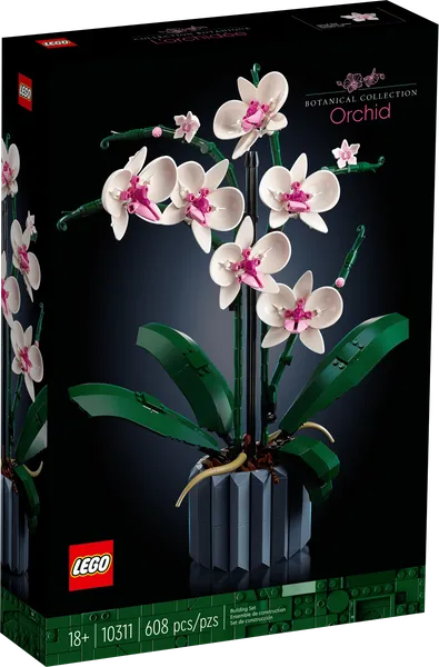 Orchid — 1