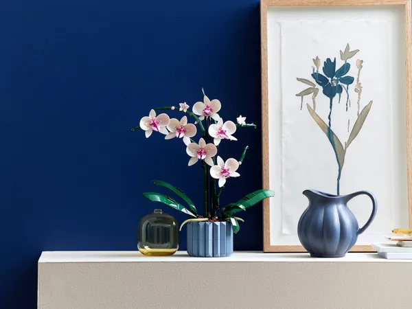 Orchid — 3