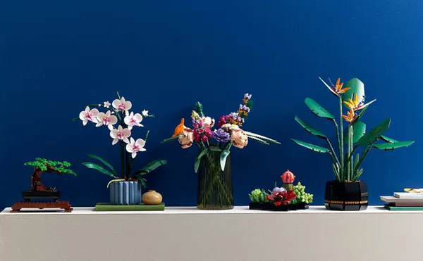 Orchid — 4