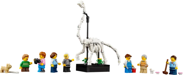 Natural History Museum — 10