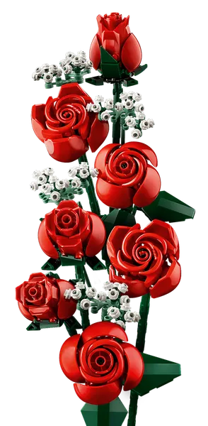 Bouquet of Roses — 5
