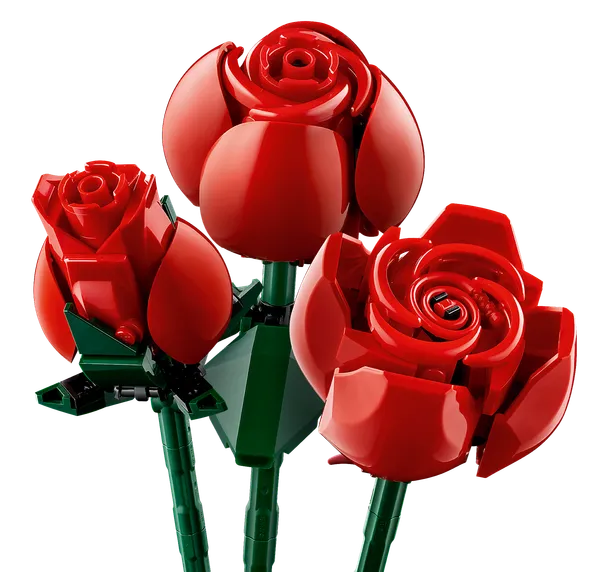 Bouquet of Roses — 6
