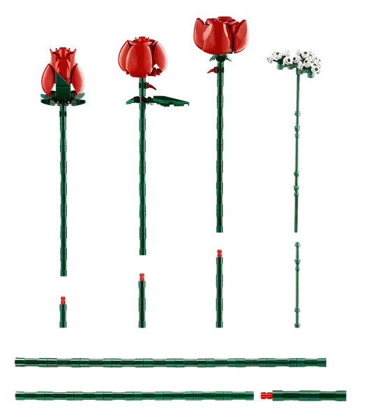 Bouquet of Roses — 7