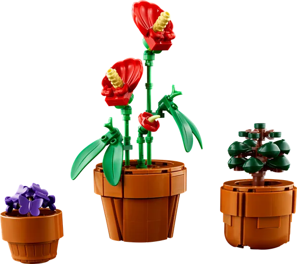 Tiny Plants — 5