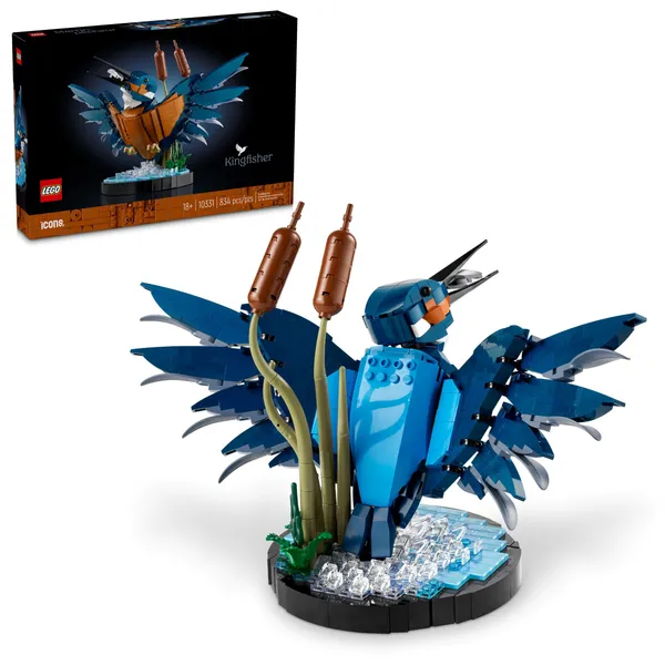 Kingfisher Bird — 1