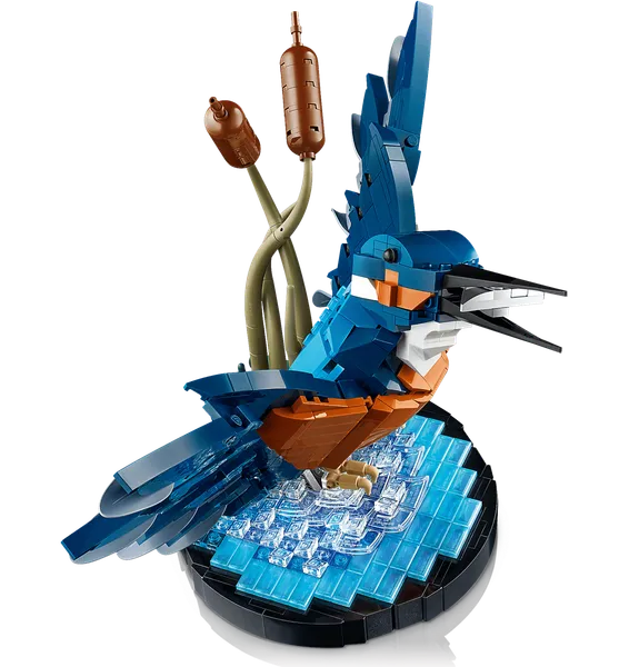 Kingfisher Bird — 3