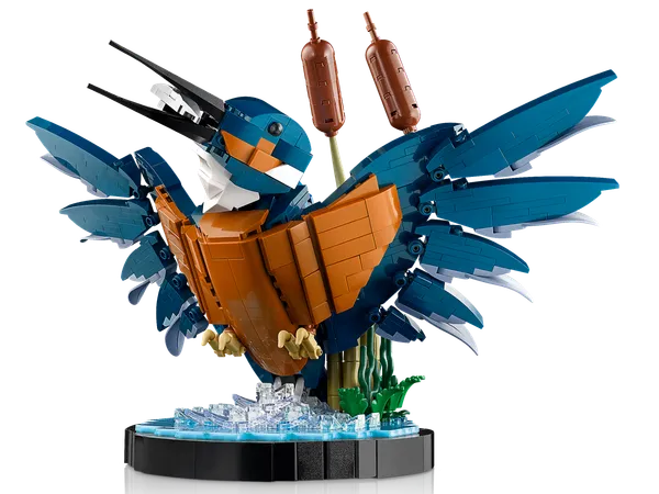 Kingfisher Bird — 4