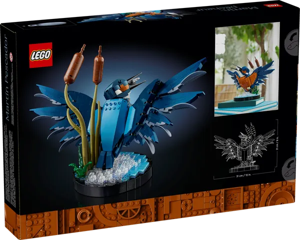 Kingfisher Bird — 5
