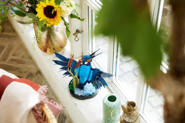 Kingfisher Bird — 7