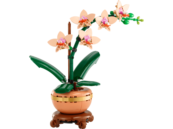 Mini Orchid — 2