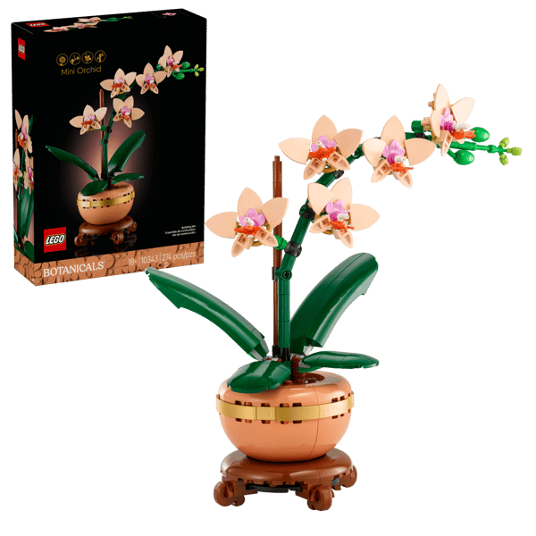 Mini Orchid — 1