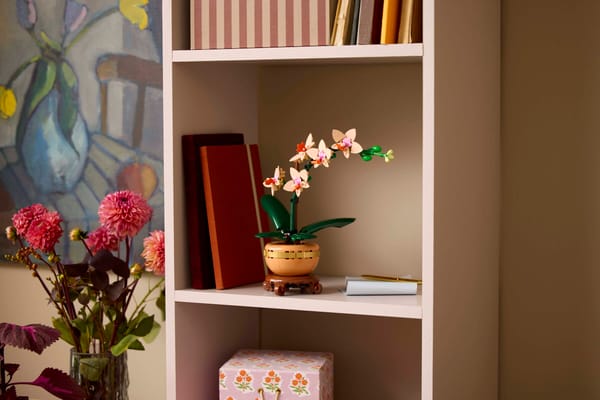 Mini Orchid — 3