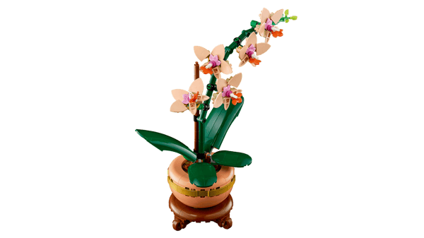Mini Orchid — 5