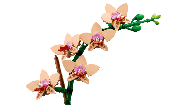 Mini Orchid — 6