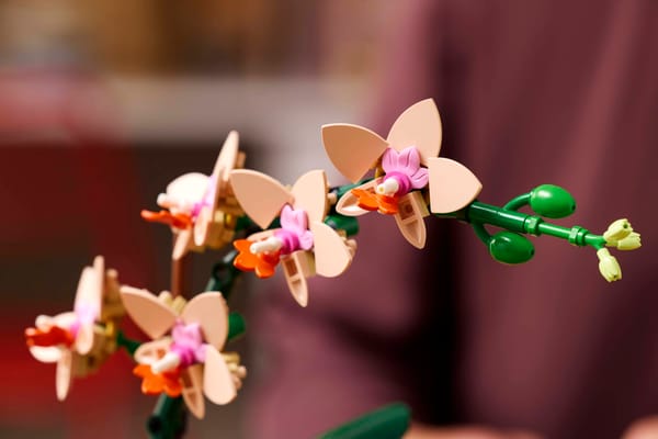 Mini Orchid — 8