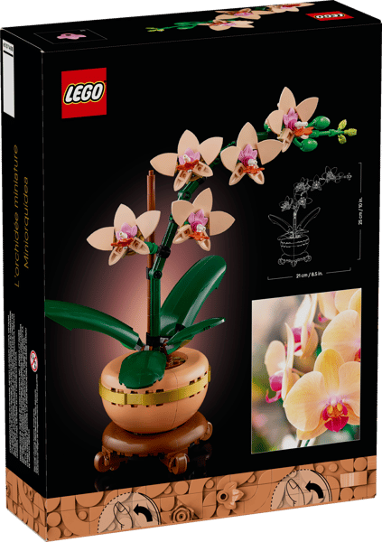 Mini Orchid — 9