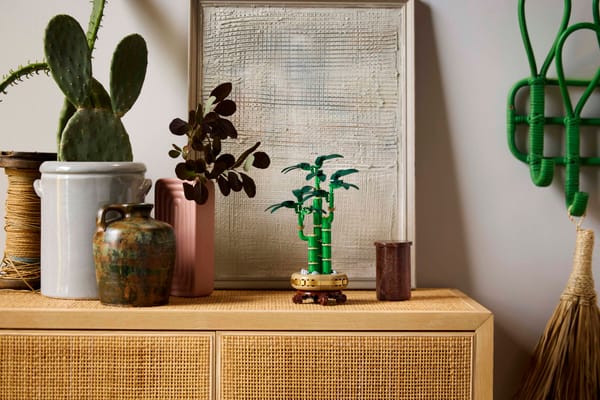 Lucky Bamboo — 3