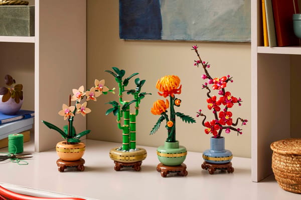 Lucky Bamboo — 5