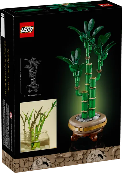 Lucky Bamboo — 9