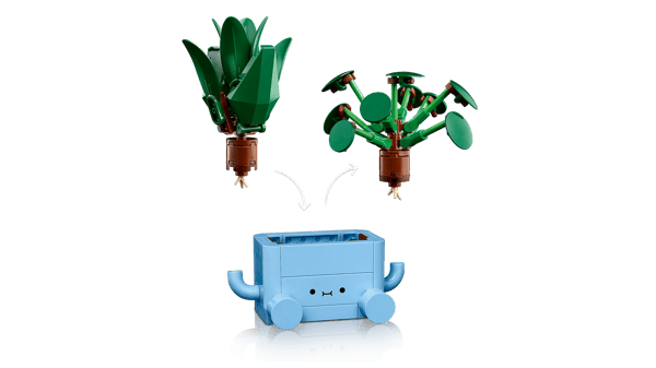 Happy Plants — 5