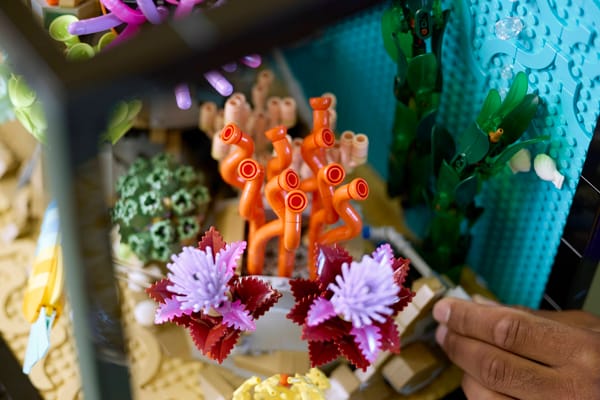 Tropical Aquarium — 12
