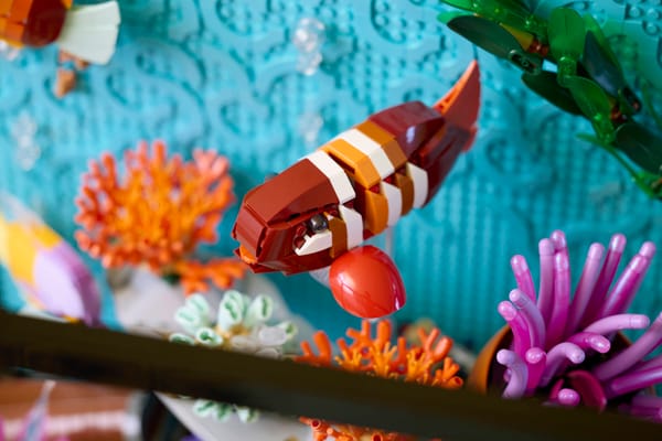 Tropical Aquarium — 13