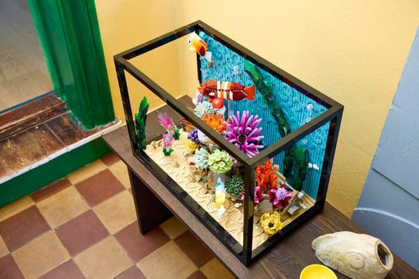 Tropical Aquarium — 16