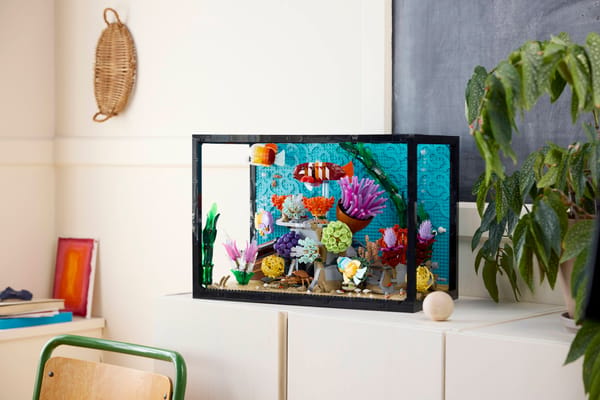 Tropical Aquarium — 17