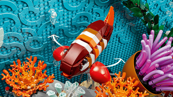 Tropical Aquarium — 7