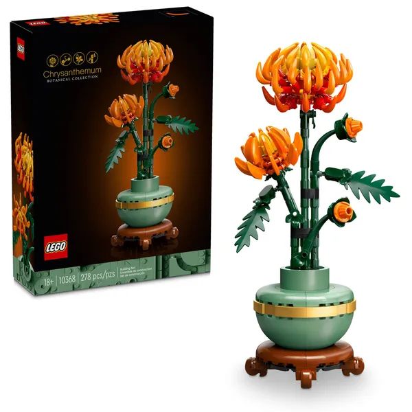 Chrysanthemum — 1