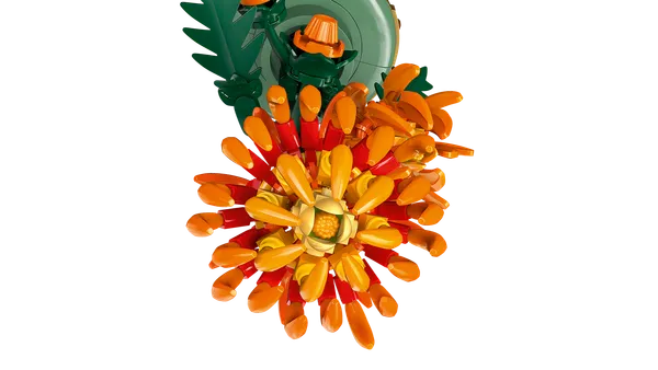 Chrysanthemum — 6
