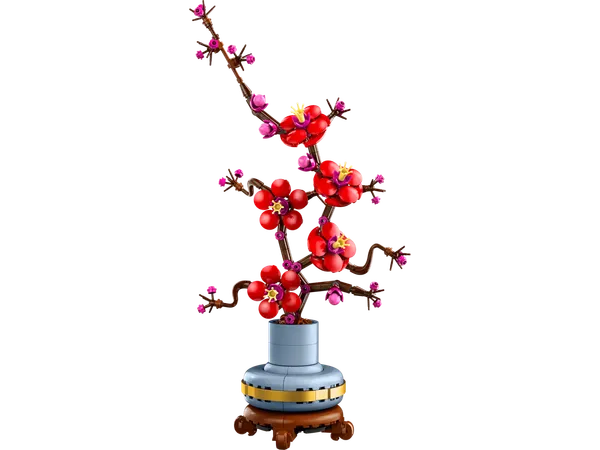 Plum Blossom — 2