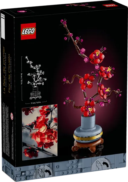 Plum Blossom — 10