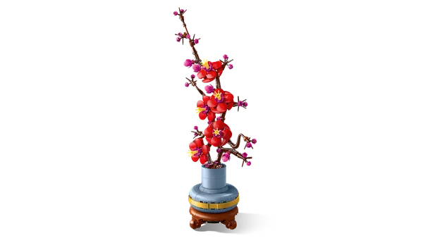 Plum Blossom — 5